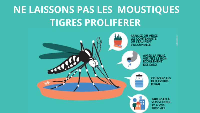 Le Moustique Tigre, c'est l'affaire de tous ! 